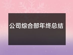 公司綜合部年終總結(jié)