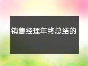 銷售經(jīng)理年終總結(jié)的