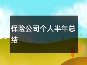 保險公司個人半年總結