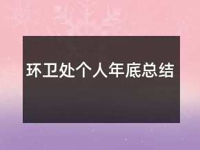 環(huán)衛(wèi)處個(gè)人年底總結(jié)