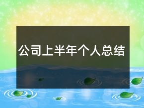 公司上半年個(gè)人總結(jié)