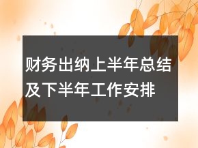 財(cái)務(wù)出納上半年總結(jié)及下半年工作安排