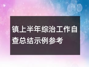 鎮(zhèn)上半年綜治工作自查總結(jié)示例參考