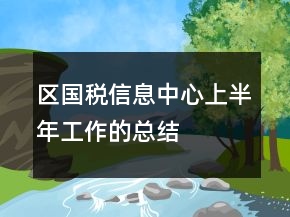 區(qū)國(guó)稅信息中心上半年工作的總結(jié)
