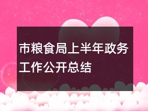 市糧食局上半年政務(wù)工作公開總結(jié)