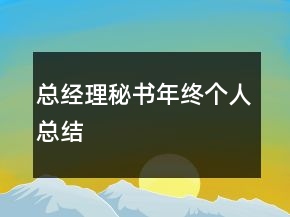 總經(jīng)理秘書年終個(gè)人總結(jié)