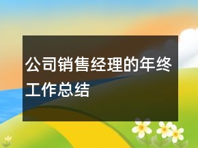 公司銷售經(jīng)理的年終工作總結(jié)