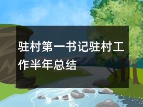駐村第一書記駐村工作半年總結