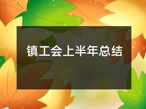 鎮(zhèn)工會上半年總結(jié)