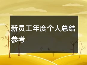 新員工年度個(gè)人總結(jié)參考
