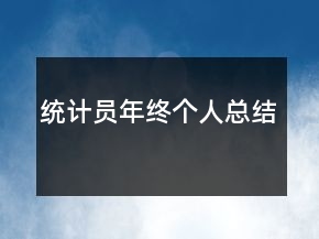 統(tǒng)計(jì)員年終個(gè)人總結(jié)