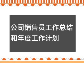 公司銷售員工作總結(jié)和年度工作計劃