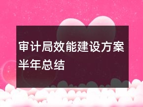 審計(jì)局效能建設(shè)方案半年總結(jié)
