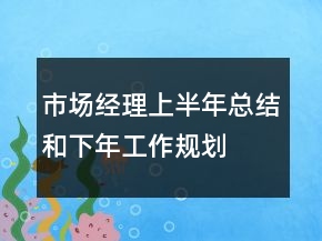 市場經(jīng)理上半年總結(jié)和下年工作規(guī)劃