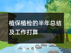 植保植檢的半年總結(jié)及工作打算