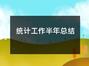 統(tǒng)計(jì)工作半年總結(jié)