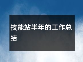 技能站半年的工作總結(jié)