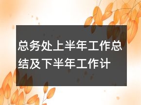 總務(wù)處上半年工作總結(jié)及下半年工作計劃要點
