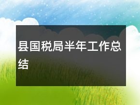 縣國(guó)稅局半年工作總結(jié)