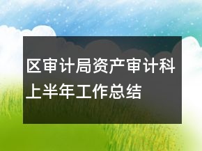 區(qū)審計(jì)局資產(chǎn)審計(jì)科上半年工作總結(jié)