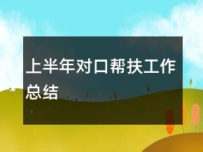 上半年對口幫扶工作總結(jié)