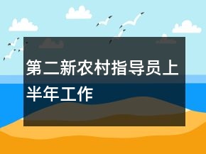 第二新農(nóng)村指導員上半年工作