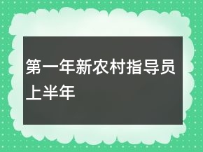 第一年新農(nóng)村指導(dǎo)員上半年