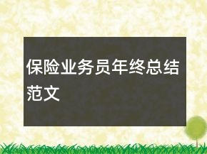 保險(xiǎn)業(yè)務(wù)員年終總結(jié)范文