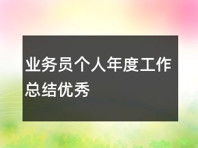 業(yè)務員個人年度工作總結(jié)優(yōu)秀