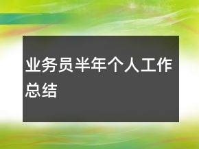 業(yè)務(wù)員半年個人工作總結(jié)