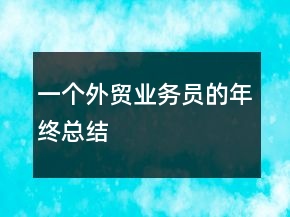 一個外貿(mào)業(yè)務(wù)員的年終總結(jié)