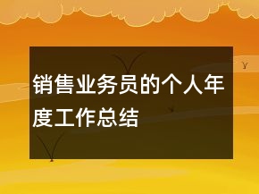 銷售業(yè)務(wù)員的個人年度工作總結(jié)