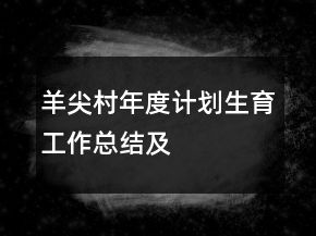 羊尖村年度計劃生育工作總結(jié)及