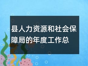 縣人力資源和社會(huì)保障局的年度工作總結(jié)