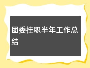 團委掛職半年工作總結