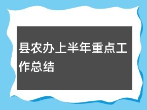 縣農(nóng)辦上半年重點工作總結(jié)