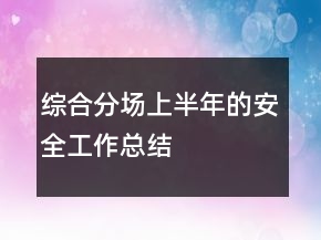 綜合分場(chǎng)上半年的安全工作總結(jié)