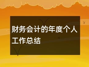 財務會計的年度個人工作總結