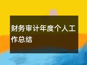 財務審計年度個人工作總結