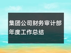集團公司財務(wù)審計部年度工作總結(jié)