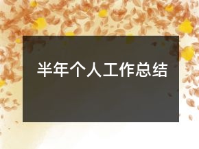 半年個(gè)人工作總結(jié)