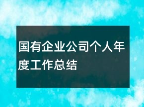 國有企業(yè)公司個人年度工作總結