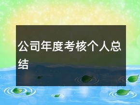 公司年度考核個人總結(jié)