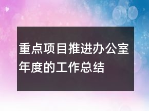 重點項目推進辦公室年度的工作總結