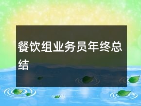 餐飲組業(yè)務(wù)員年終總結(jié)