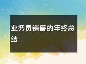 業(yè)務(wù)員銷售的年終總結(jié)