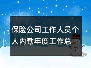 保險公司工作人員個人內(nèi)勤年度工作總結(jié)