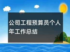 公司工程預(yù)算員個人年工作總結(jié)