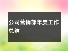 公司營銷部年度工作總結(jié)