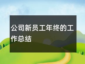 公司新員工年終的工作總結(jié)
